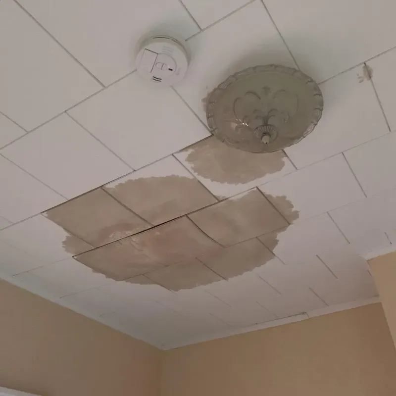 Ceiling Water Damage Repair in Lake Dunlap, TX
