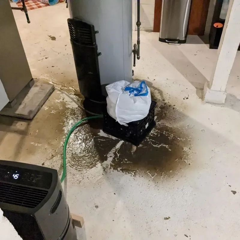 Sewage Backup Cleanup Service in Lake Dunlap, TX